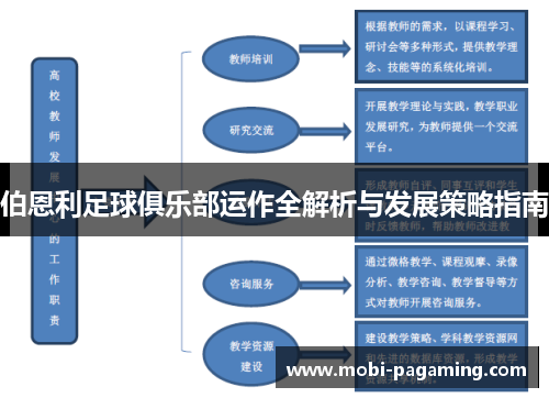 伯恩利足球俱乐部运作全解析与发展策略指南