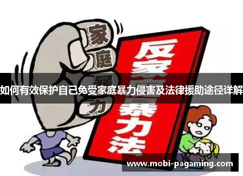 如何有效保护自己免受家庭暴力侵害及法律援助途径详解