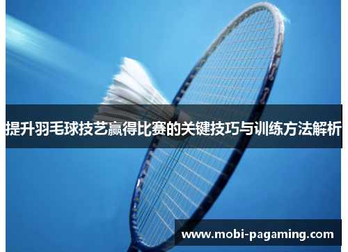 提升羽毛球技艺赢得比赛的关键技巧与训练方法解析