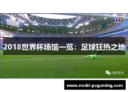 2018世界杯场馆一览：足球狂热之地