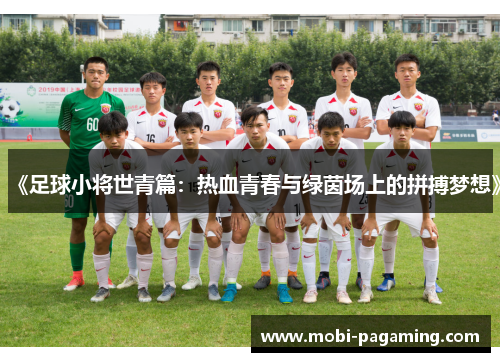 《足球小将世青篇：热血青春与绿茵场上的拼搏梦想》