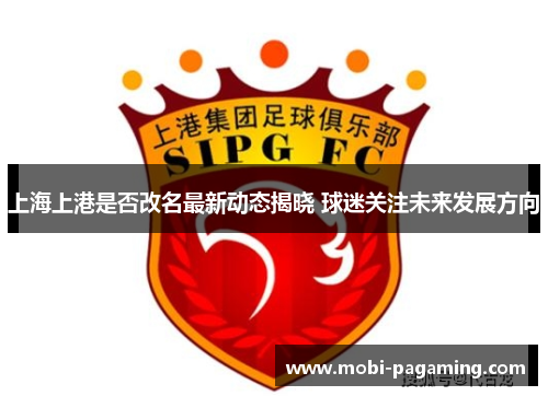 上海上港是否改名最新动态揭晓 球迷关注未来发展方向