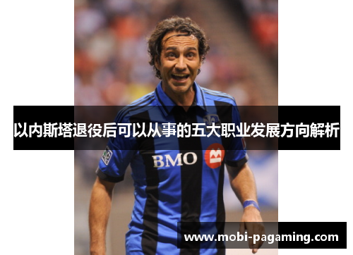 以内斯塔退役后可以从事的五大职业发展方向解析