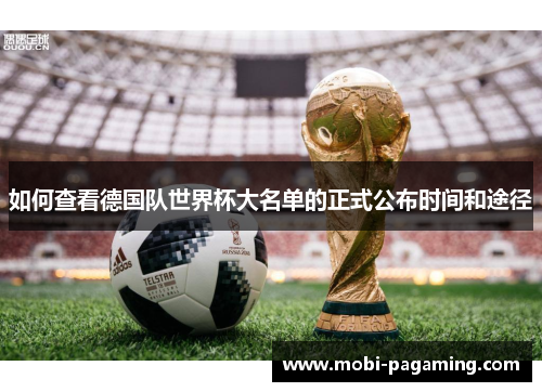 如何查看德国队世界杯大名单的正式公布时间和途径