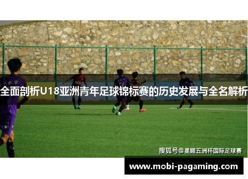 全面剖析U18亚洲青年足球锦标赛的历史发展与全名解析