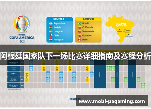 阿根廷国家队下一场比赛详细指南及赛程分析