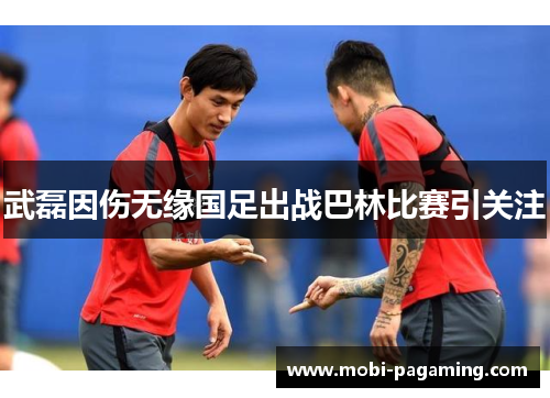 武磊因伤无缘国足出战巴林比赛引关注