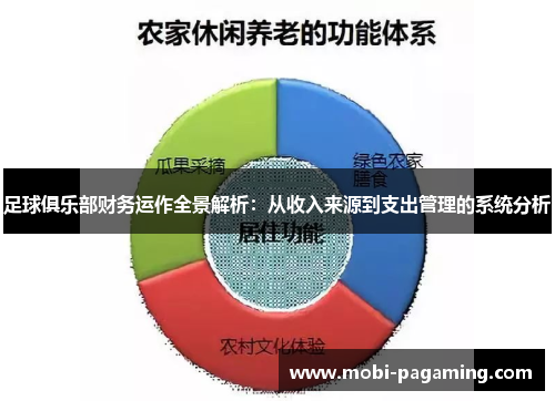 足球俱乐部财务运作全景解析：从收入来源到支出管理的系统分析