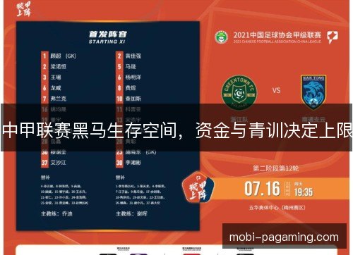 中甲联赛黑马生存空间,资金与青训决定上限 中甲联赛黑马生存空间,资金与青训决定上限