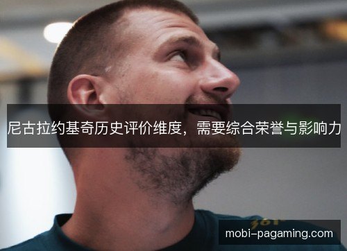 尼古拉约基奇历史评价维度，需要综合荣誉与影响力